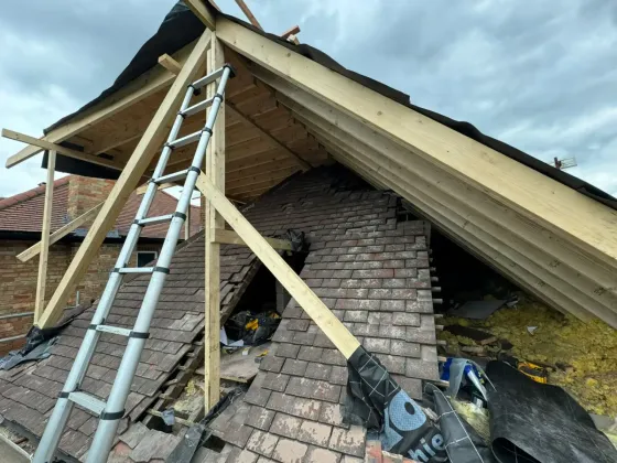 New timber rafters and ridge for an extended roof built over an old clay-tiled roof slope, with an aluminium ladder and insulation exposed beneath
